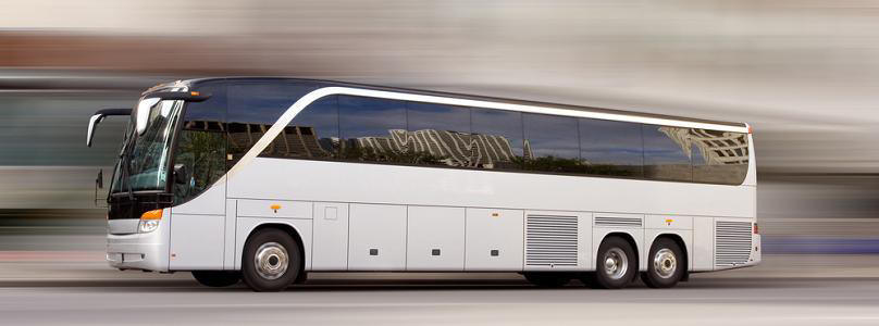 Charter a Bus for Your Next Group Trip